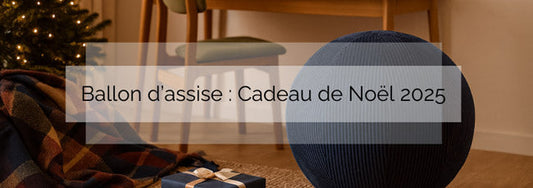 le ballon d'assise : Un cadeau pour Noël 2025